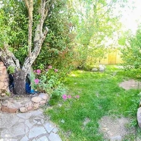 Salvacintoggio -votre Avec Piscine Privée- Porto Vecchio