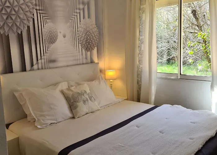 Salvacintoggio -votre Avec Piscine Privee- ポルトヴェッキオ